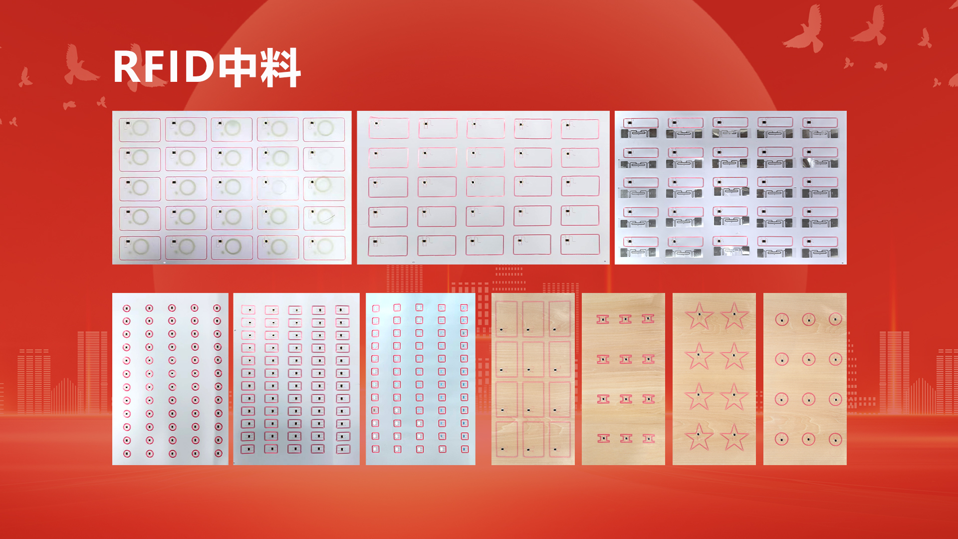 微信圖片_20250929104412_438_127 微信圖片_20250929104412_438_127