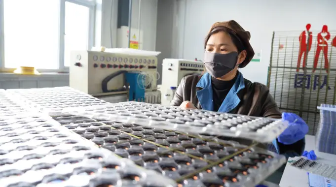 文明中衛(wèi):閩寧情更長 山海共潮生 | 閩企向西入“海”來