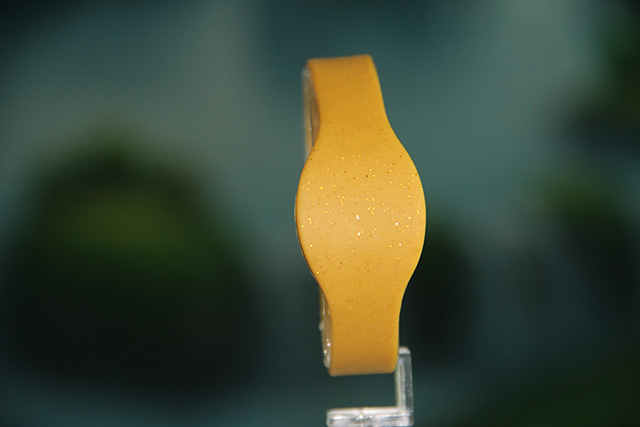 IC腕帶芯片與RFID電子標簽_6